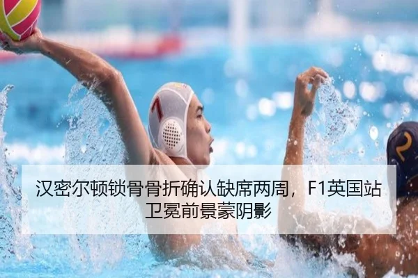 han-mi-er-dun-suo-gu-gu-zhe-que-ren-que-xi-liang-zhou-ying-guo-zhan-wei-mian-qian-jing-meng-yin-ying-2-850.jpg